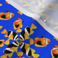 Clownfish Diagonal Pattern