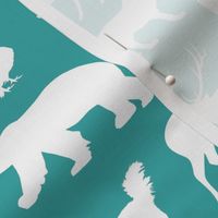 North American Animals on Teal