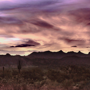 Desert Evening