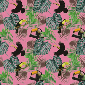 toucan_pink_texture