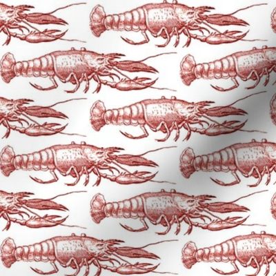 Crimson Lobster