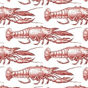 Crimson Lobster