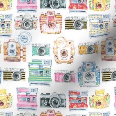 Watercolor Cameras - Large Scale