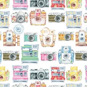 Watercolor Cameras - Large Scale