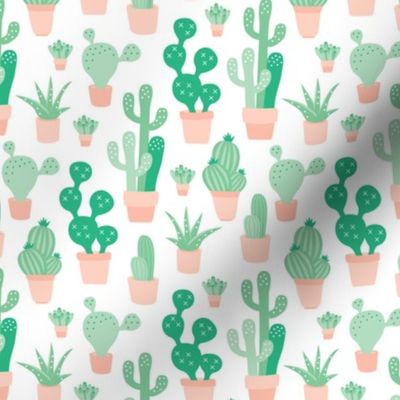 Cactus garden and succulent cacti plants for summer cool scandinavian style gender neutral green