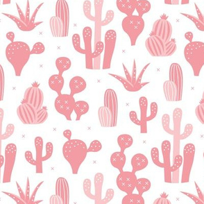 Cactus summer garden and succulent cacti plants for summer cool scandinavian style gender neutral pink