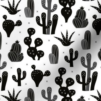 Cactus garden and succulent cacti plants for summer cool scandinavian style gender neutral black and white