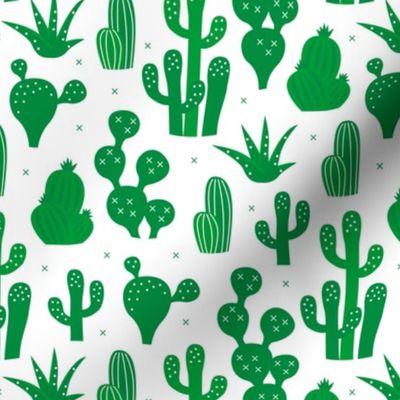 Cactus lush green summer garden and succulent cacti plants for summer cool scandinavian style gender neutral green