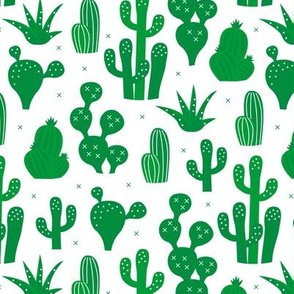 Cactus lush green summer garden and succulent cacti plants for summer cool scandinavian style gender neutral green