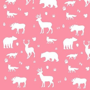 woodland animals // coral