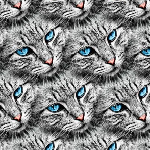 cat eyes blue