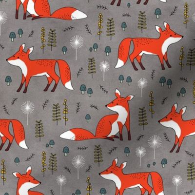 foxes on gray