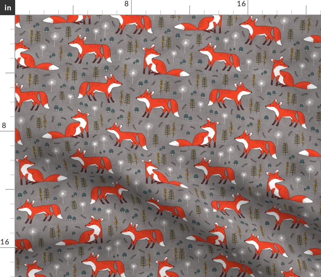 foxes on gray