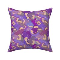 Laughing Hippos - Purples