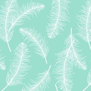 Feathers on mint