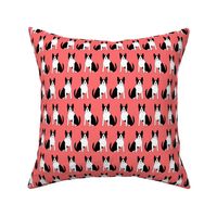 boston terrier dog dogs puppy pet dogs fabric coral dog black and white 