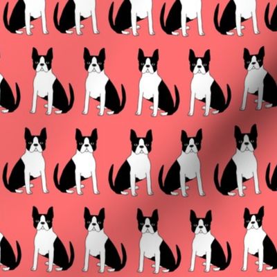 boston terrier dog dogs puppy pet dogs fabric coral dog black and white 