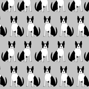 boston terrier dogs pet pets dog boston owners fabric