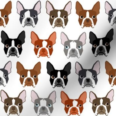 boston terriers boston dog dogs pet pets dog fabric