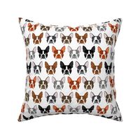 boston terriers boston dog dogs pet pets dog fabric