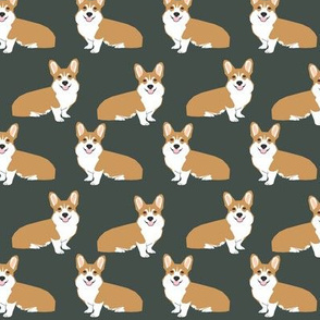 corgi corgis dog pet puppy dogs olive green cute corgis dogs 