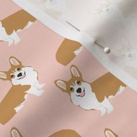 corgi corgis girls sweet pink pastel dogs dog pet pet fabric sweet corgi design