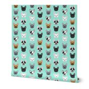 French Bulldogs french bulldog mint sweet dog puppy puppies dog lovers frenchie owners crafts