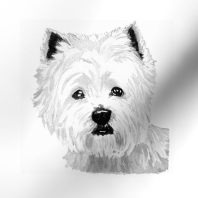 West Highland Terrier