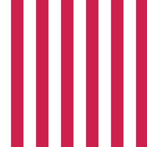 Bright Flag - Half Inch Stripe