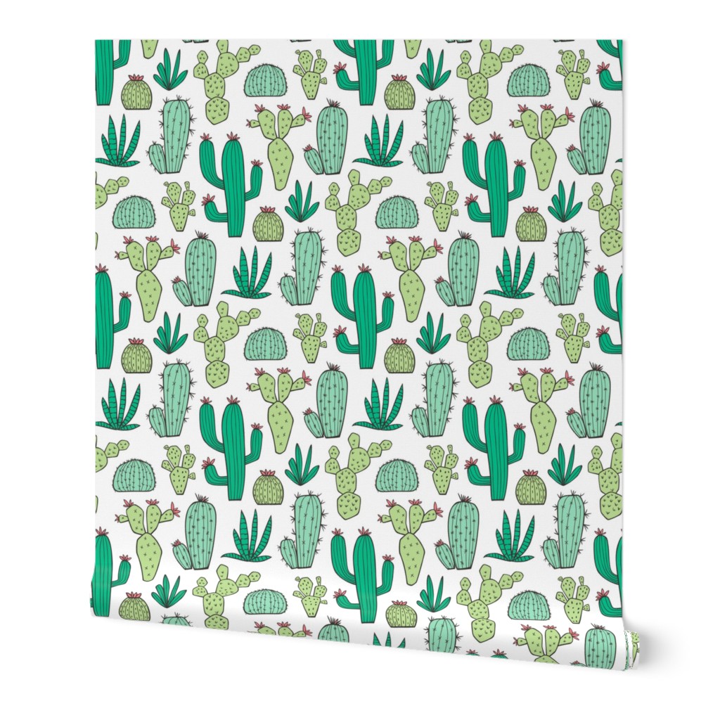 Cactus on White