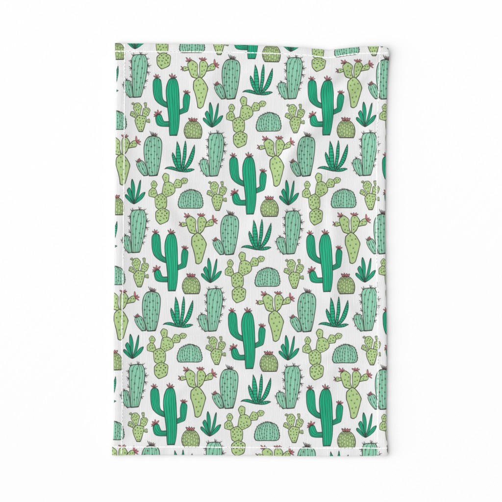 Cactus on White