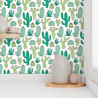 Cactus on White