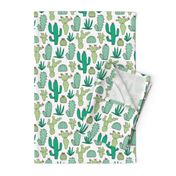 Cactus on White