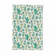 Cactus on White