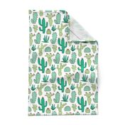 Cactus on White