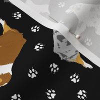 Small trotting Australian Shepherds and paw prints - black