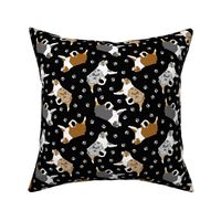 Small trotting Australian Shepherds and paw prints - black