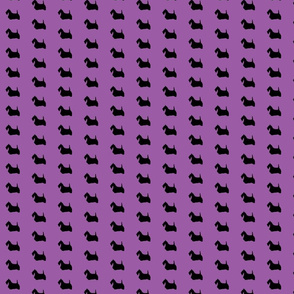 Scottish Terrier on Purple