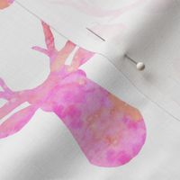 Watercolor Butterfly Buck Pink