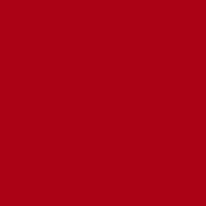 Solid Christmas Dark Red (#AA0114)