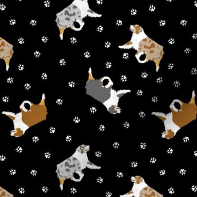 Tiny trotting Australian Shepherds and paw prints - black