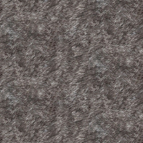 Gray Tabby Fur