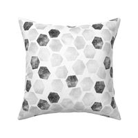 White Wash Abstract Hexagons