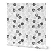 White Wash Abstract Hexagons