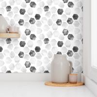 White Wash Abstract Hexagons