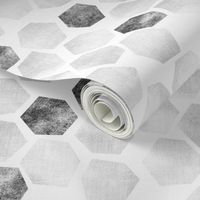 White Wash Abstract Hexagons