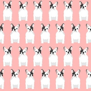 french bulldogs dog dogs pet pets pink baby girl nursery sweet dogs