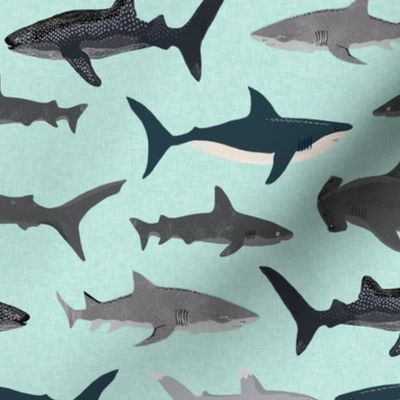 shark // sharks mint fish ocean sea nautical kids mint shark week