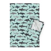 shark // sharks mint fish ocean sea nautical kids mint shark week