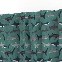 shark // sharks men boys boy green shark week ocean creature sea ocean nautical sharks